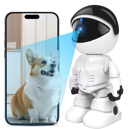 1080P Camera